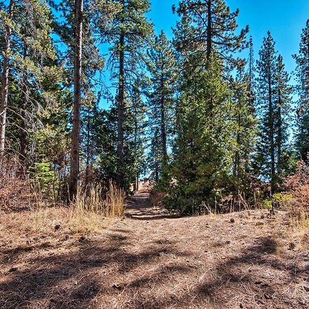 Modern Lakeside Cabin Walk To Dock And Tahoe City Exteriör bild